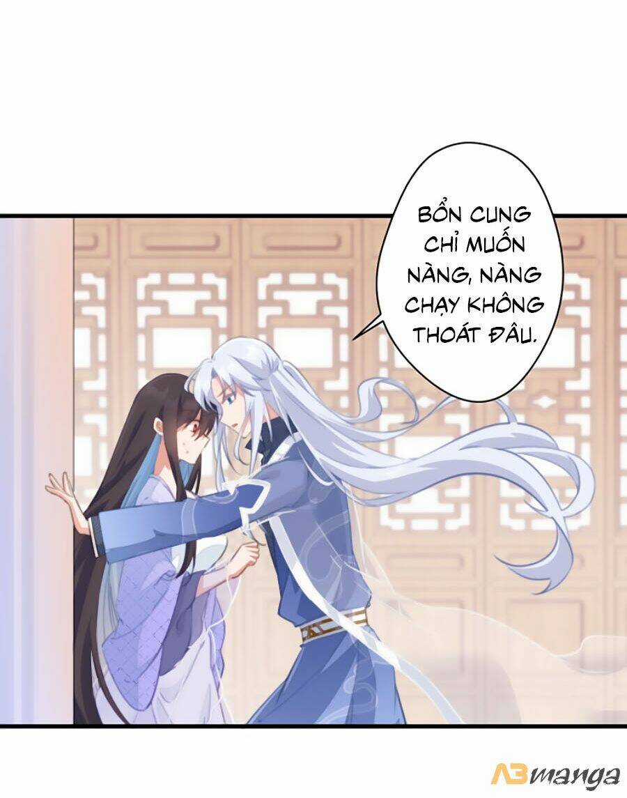 Bạo Sủng Tiểu Manh Phi Chapter 39 trang 8