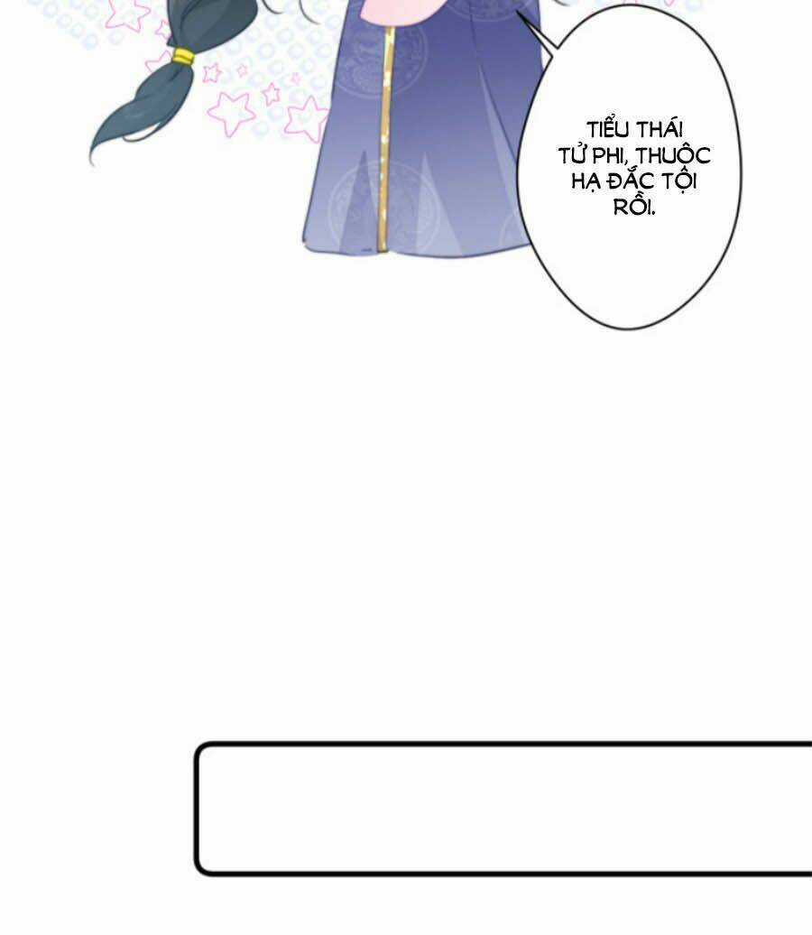 Bạo Sủng Tiểu Manh Phi Chapter 41 trang 15