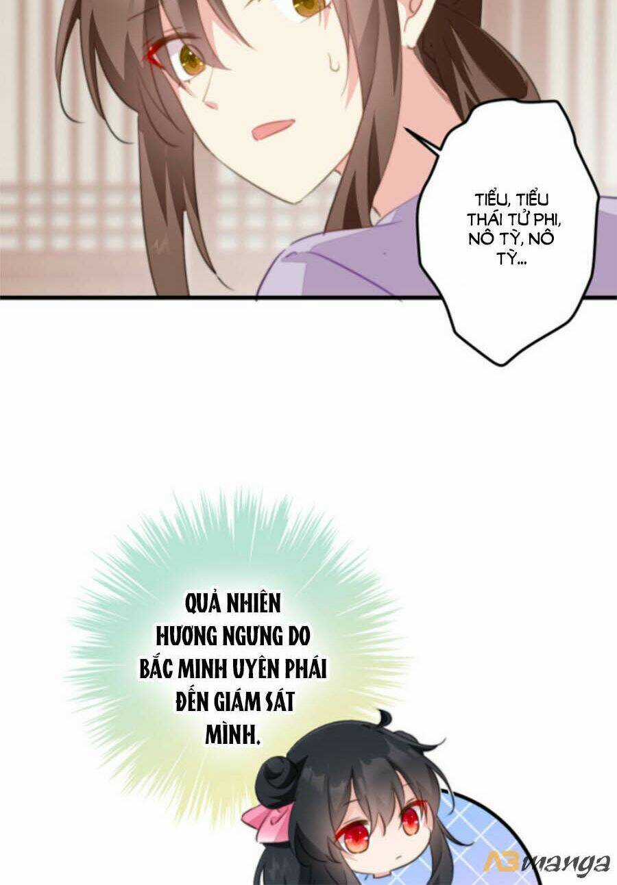 Bạo Sủng Tiểu Manh Phi Chapter 41 trang 18