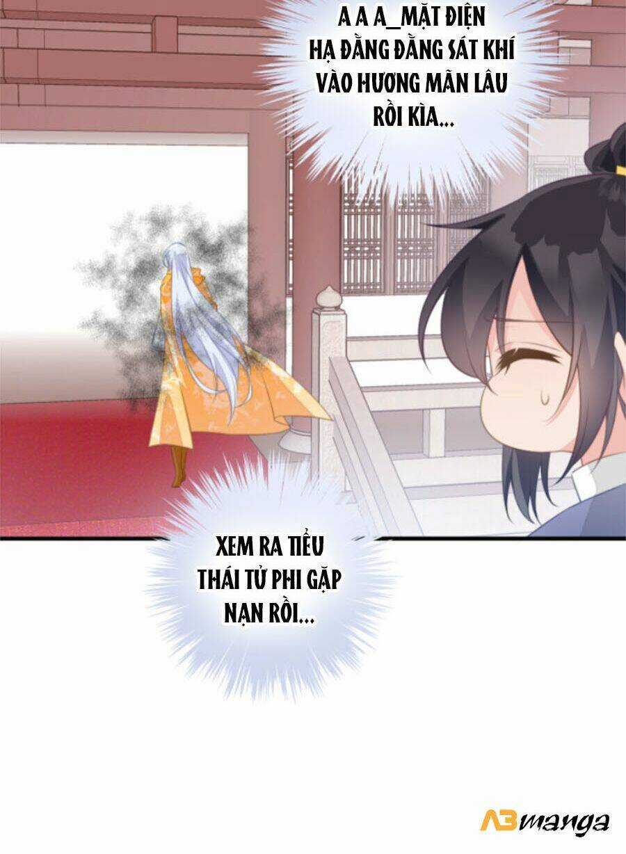 Bạo Sủng Tiểu Manh Phi Chapter 47 trang 19