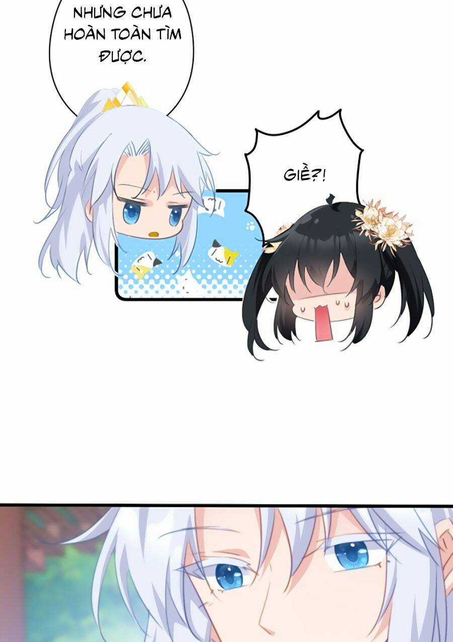 Bạo Sủng Tiểu Manh Phi Chapter 71 trang 4