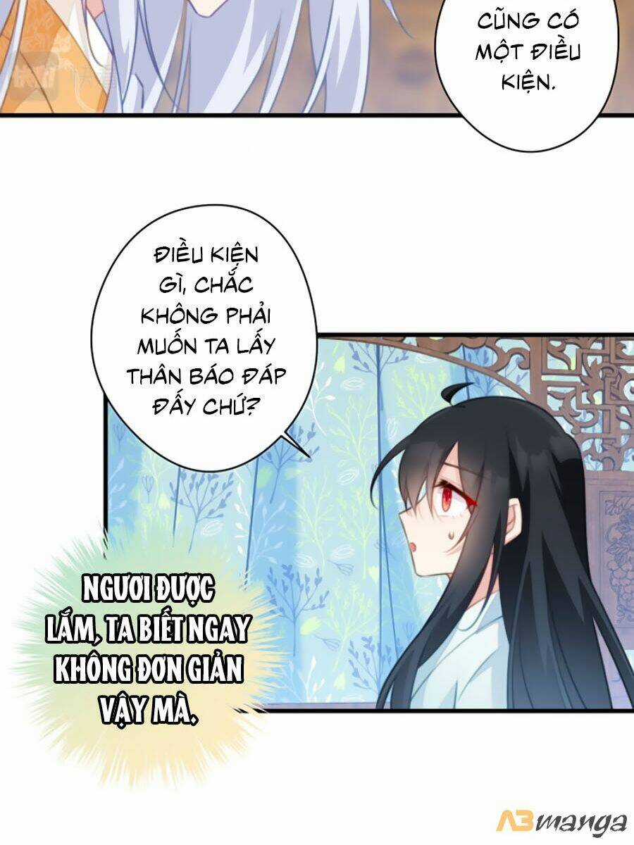 Bạo Sủng Tiểu Manh Phi Chapter 74 trang 11