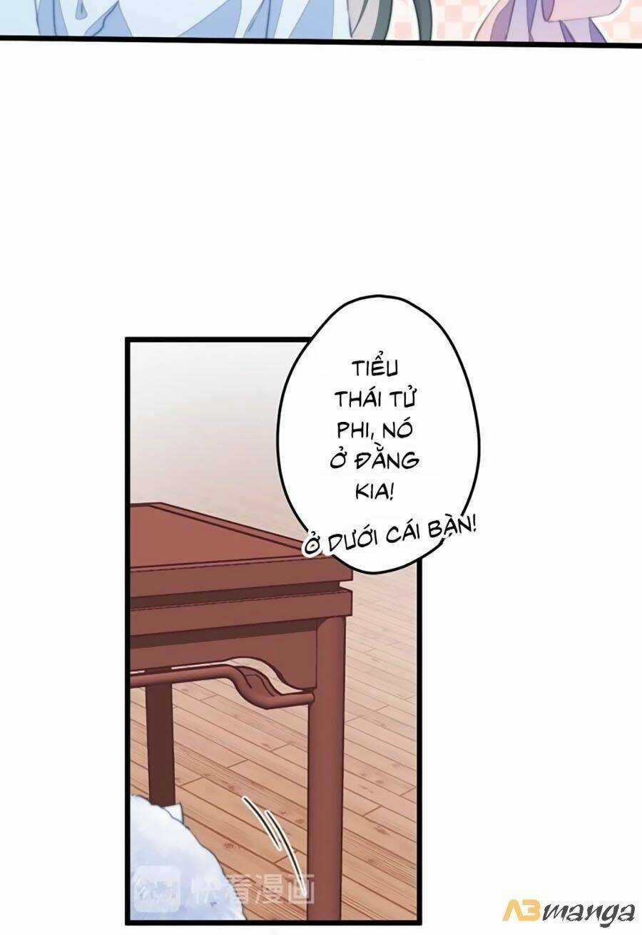 Bạo Sủng Tiểu Manh Phi Chapter 8 trang 3