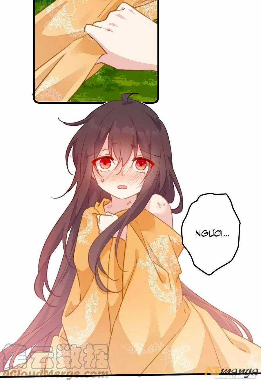 Bạo Sủng Tiểu Manh Phi Chapter 89 trang 4