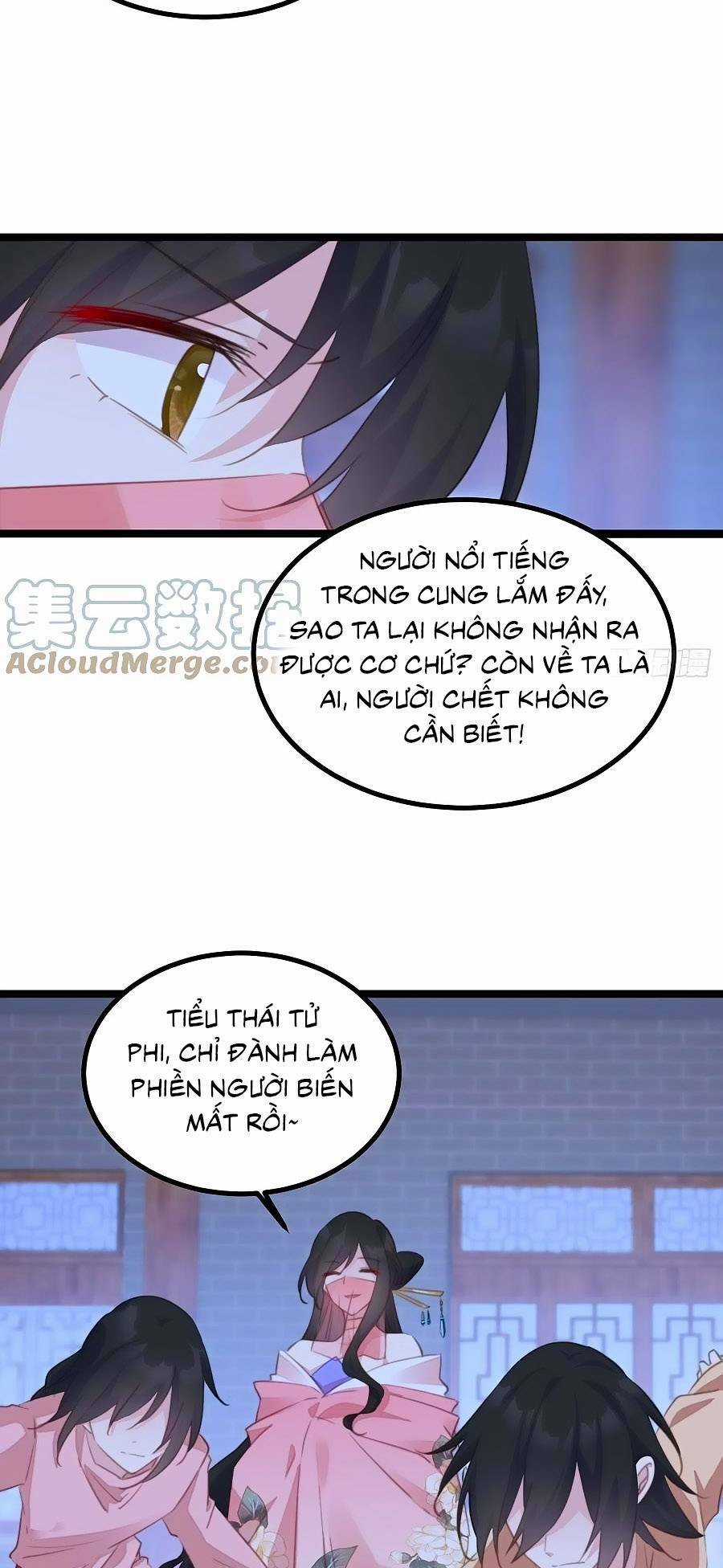 Bạo Sủng Tiểu Manh Phi Chapter 95 trang 10