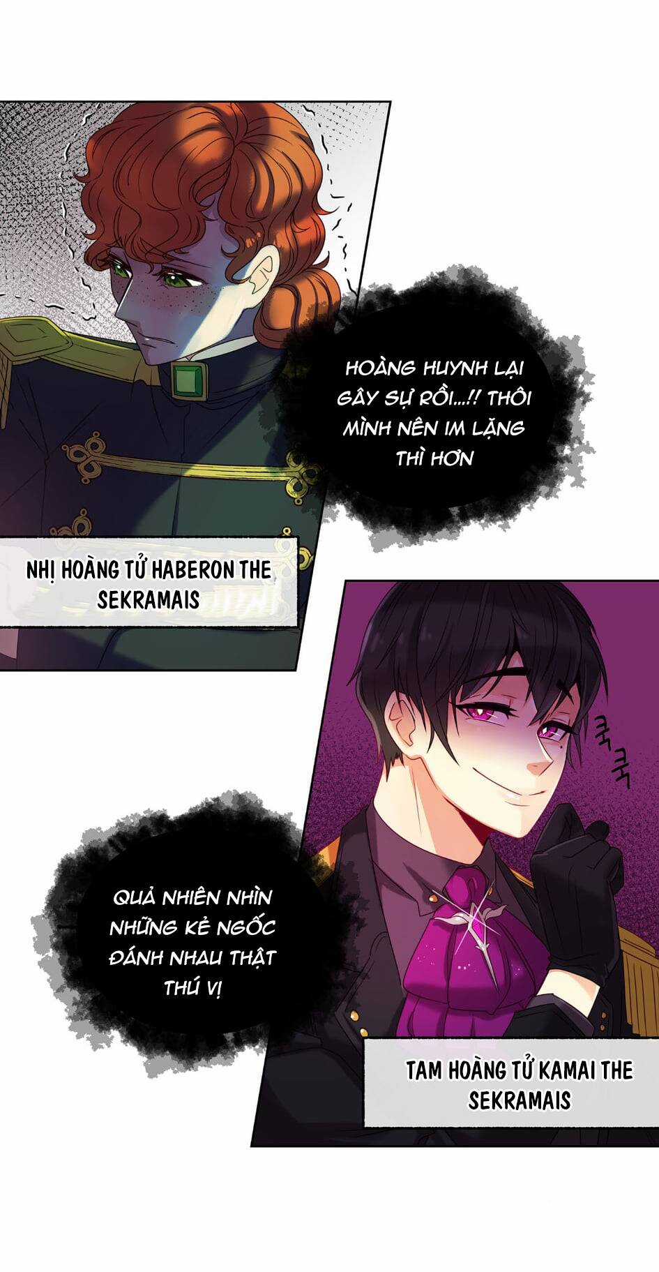 Bảo Vật Của Công Chúa Chapter 1 trang 41