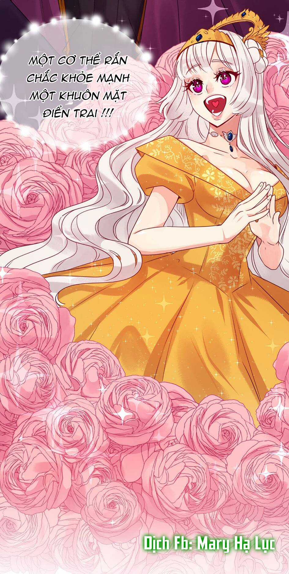 Bảo Vật Của Công Chúa Chapter 2 trang 17