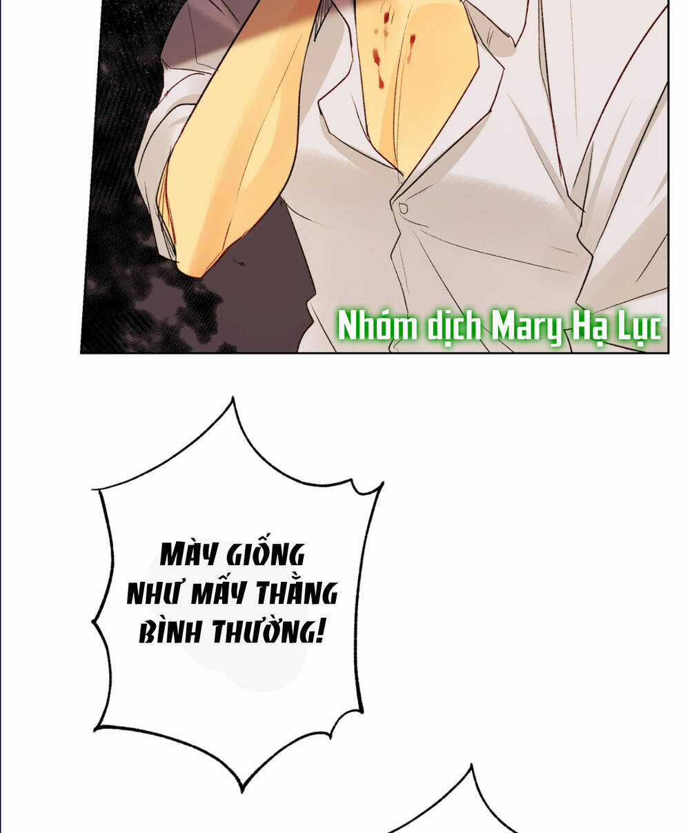 Bảo Vật Của Công Chúa Chapter 22 trang 43