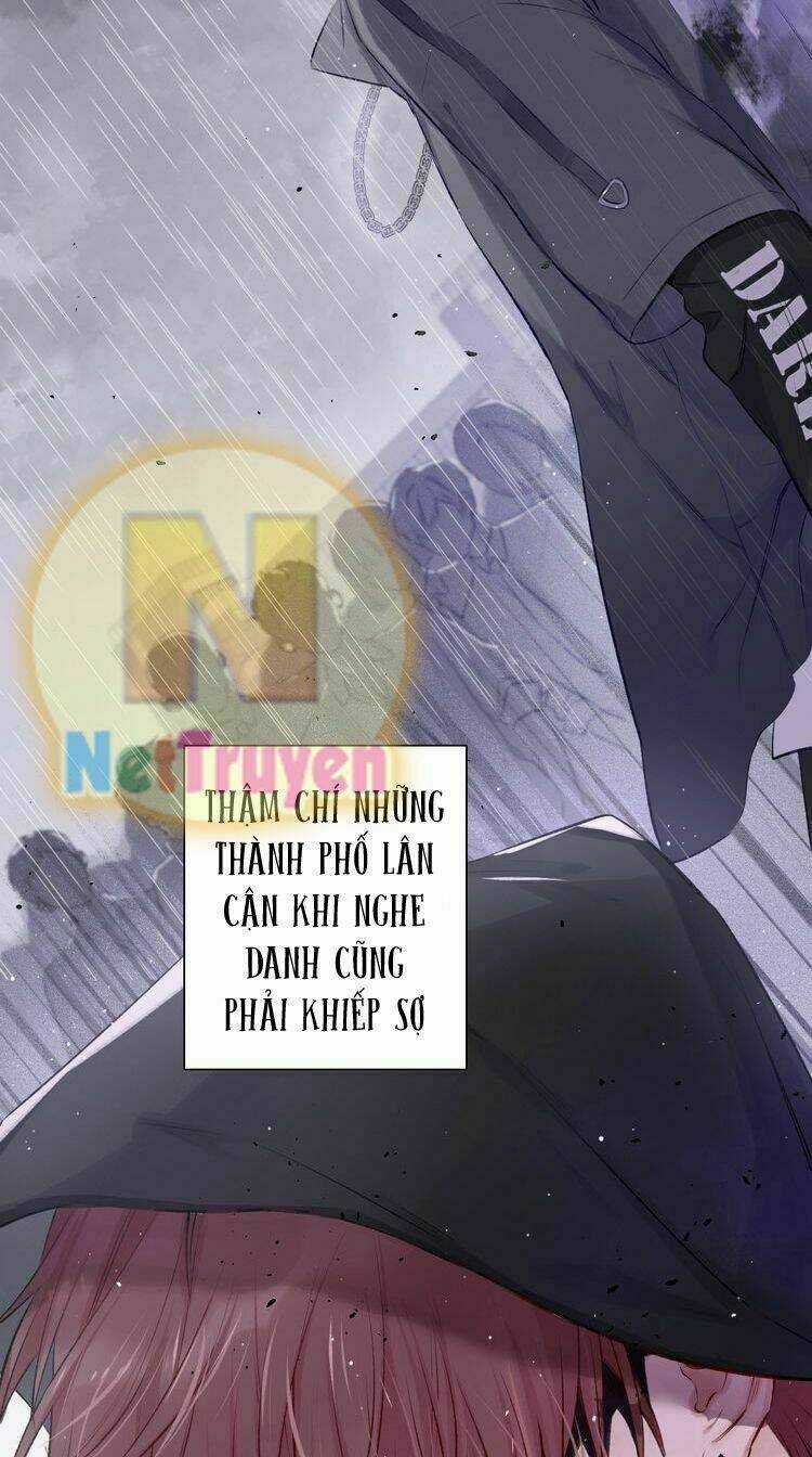 Bảo Vệ Siêu Sao Của Tôi Chapter 1 trang 4