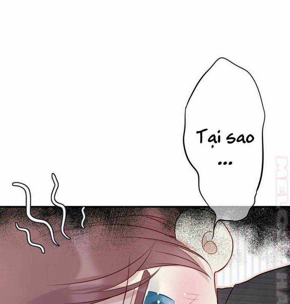 Bảo Vệ Siêu Sao Của Tôi Chapter 10 trang 2