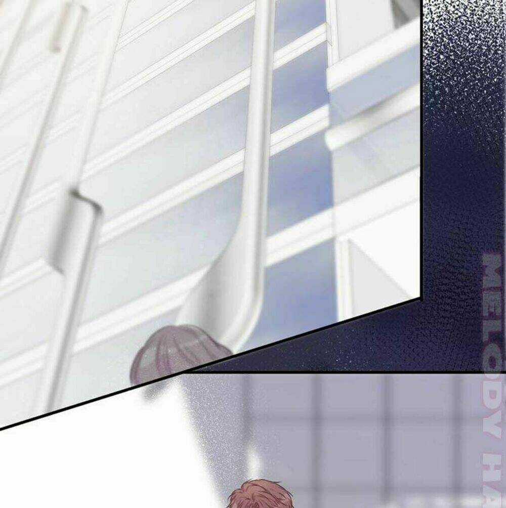 Bảo Vệ Siêu Sao Của Tôi Chapter 10 trang 48