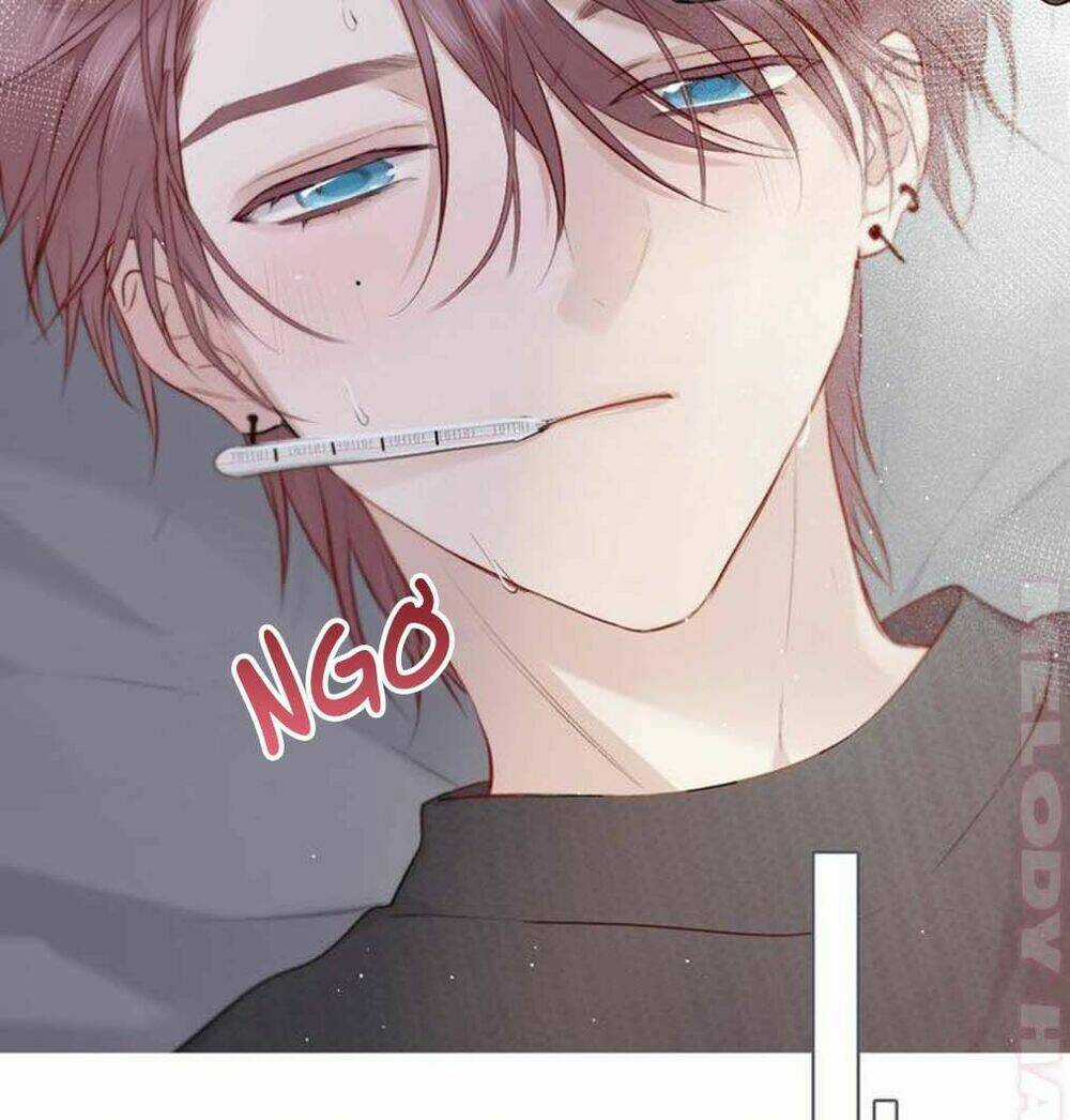 Bảo Vệ Siêu Sao Của Tôi Chapter 10 trang 6