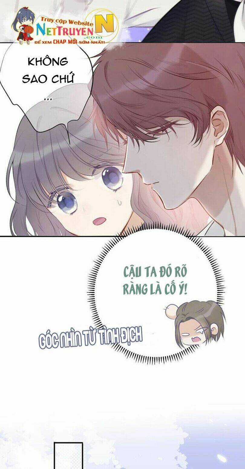 Bảo Vệ Siêu Sao Của Tôi Chapter 11.5 trang 5