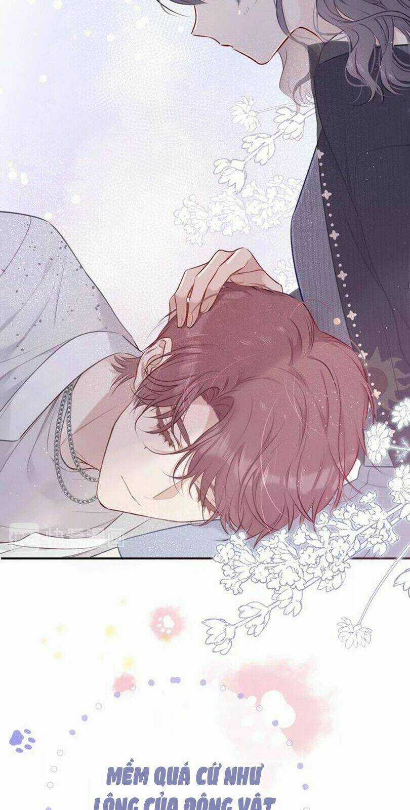 Bảo Vệ Siêu Sao Của Tôi Chapter 11 trang 19