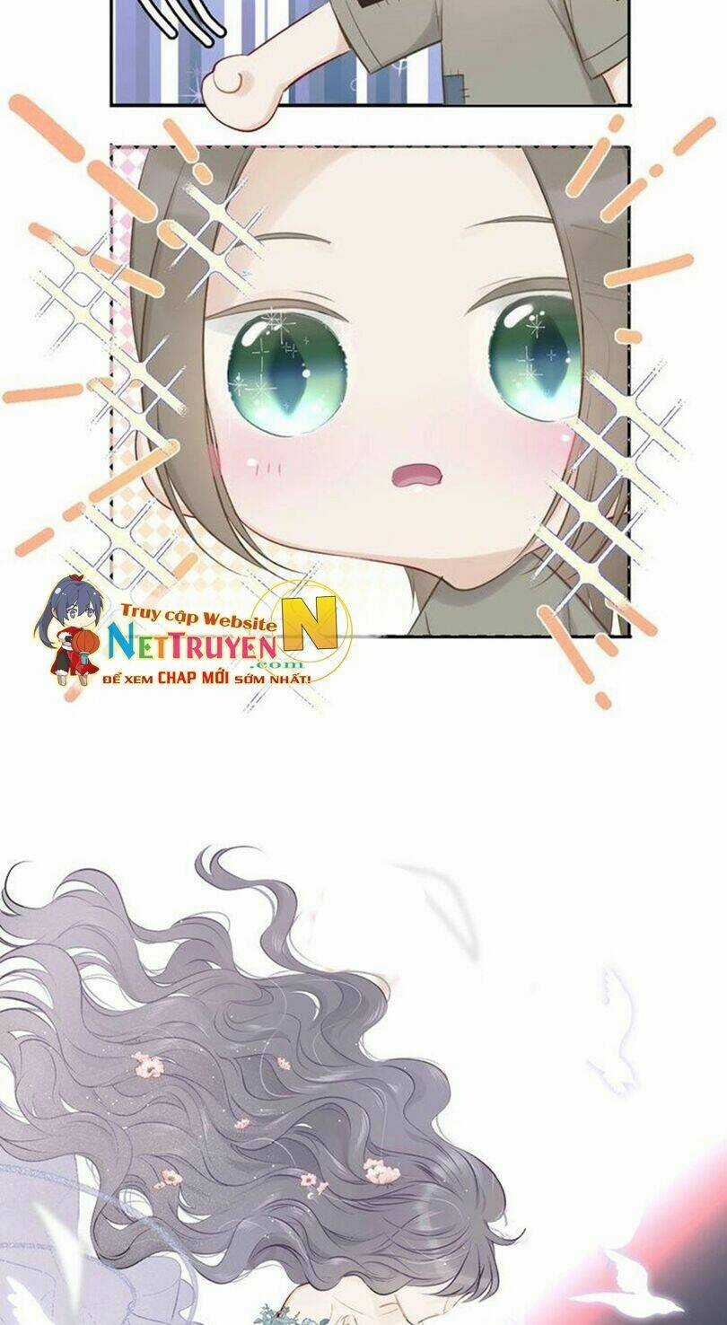 Bảo Vệ Siêu Sao Của Tôi Chapter 11 trang 8