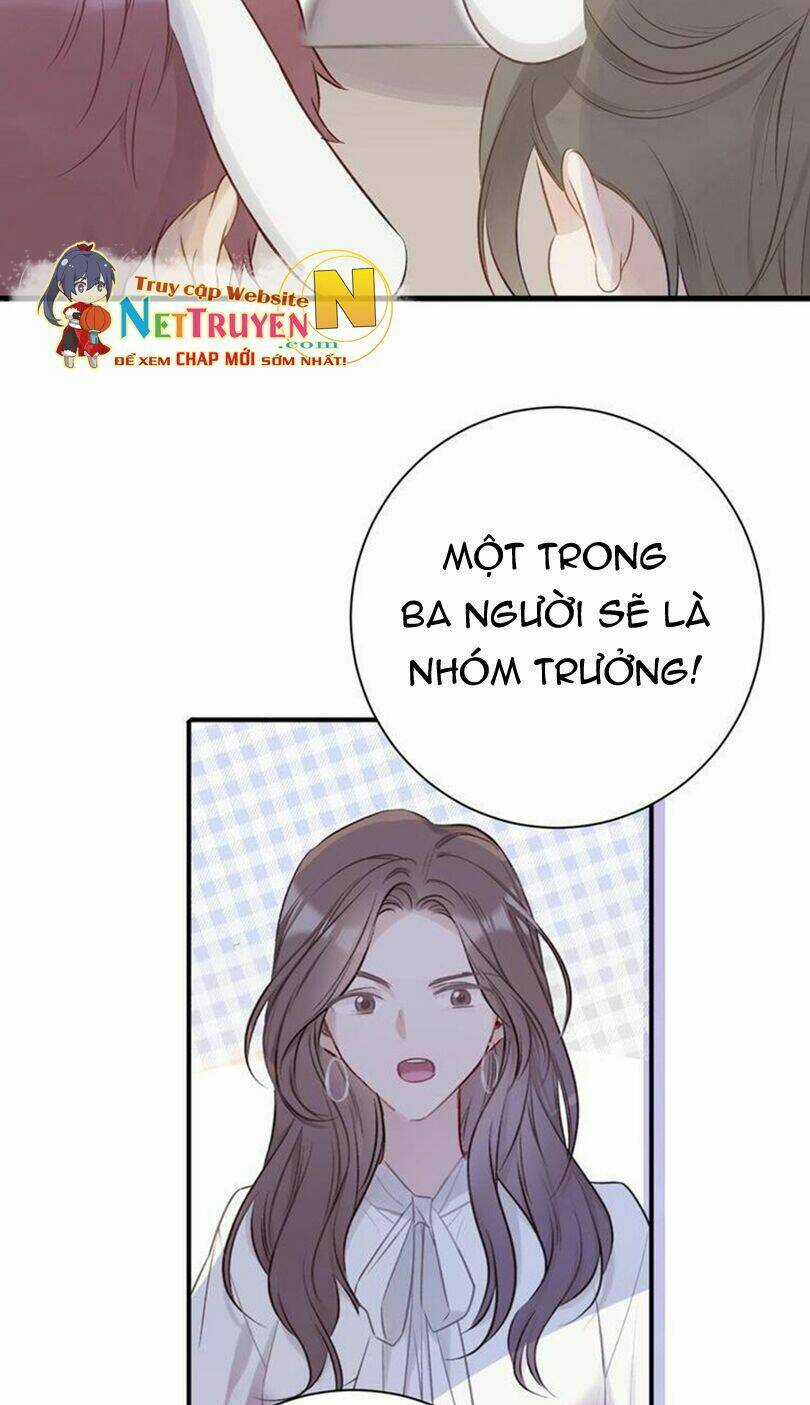 Bảo Vệ Siêu Sao Của Tôi Chapter 12 trang 12