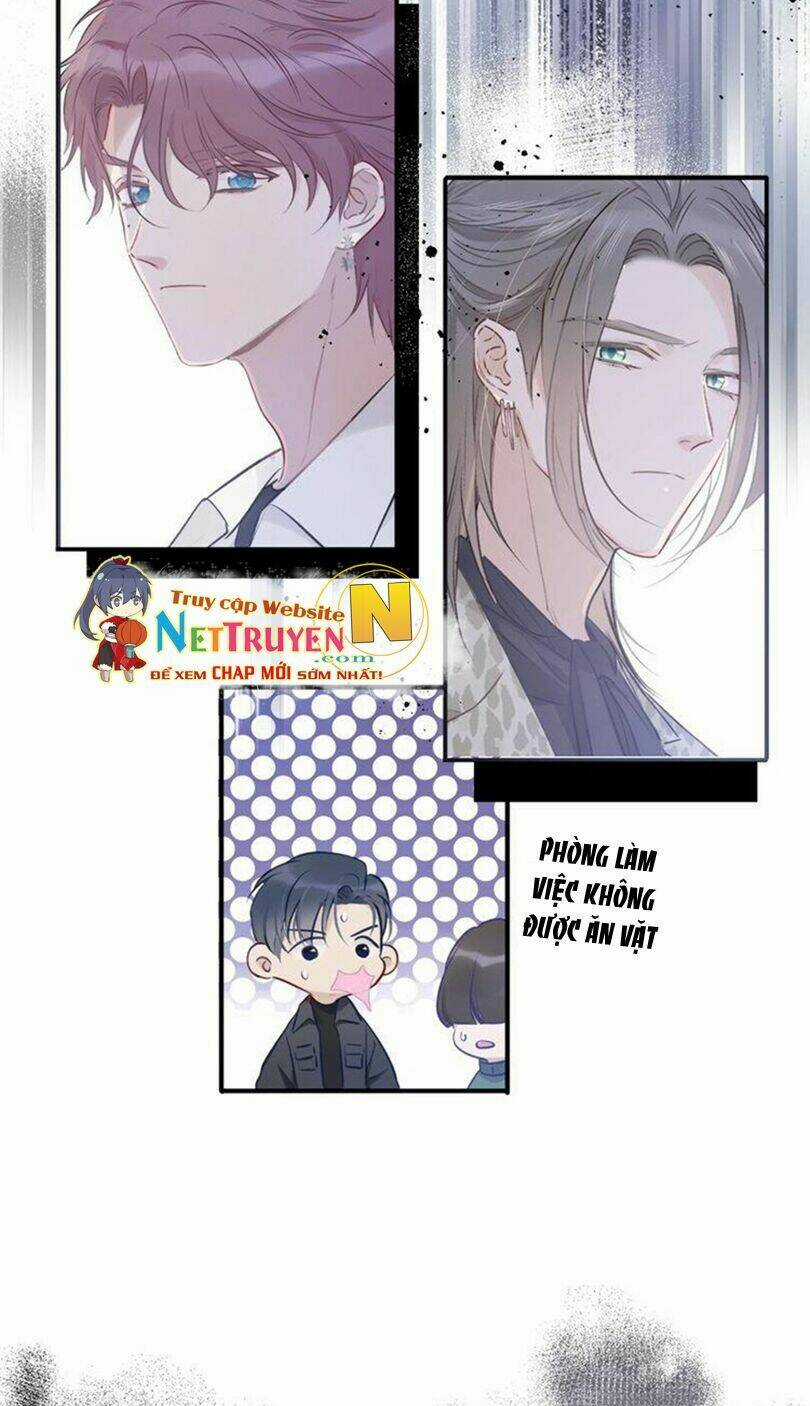 Bảo Vệ Siêu Sao Của Tôi Chapter 12 trang 14