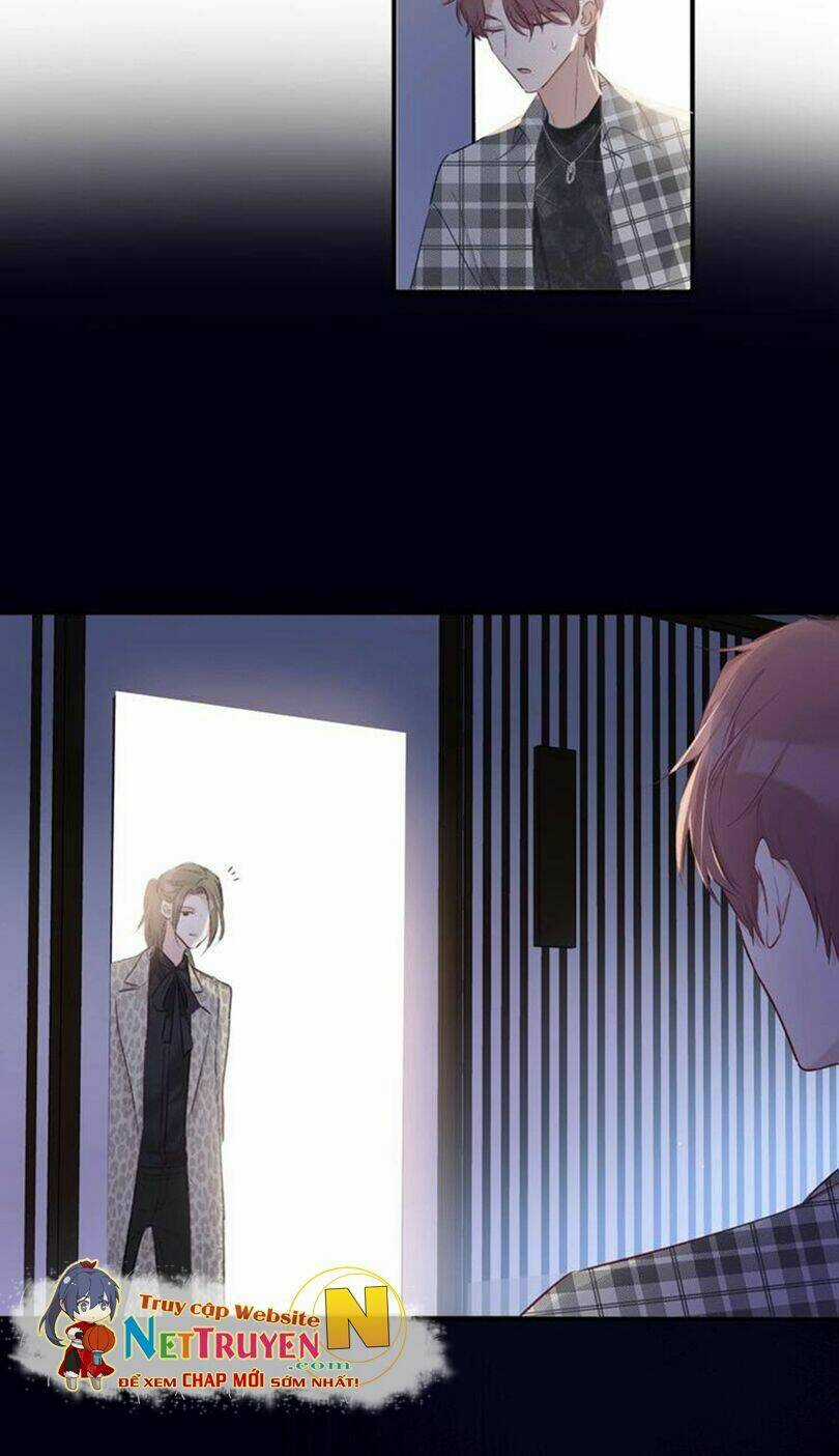 Bảo Vệ Siêu Sao Của Tôi Chapter 12 trang 18