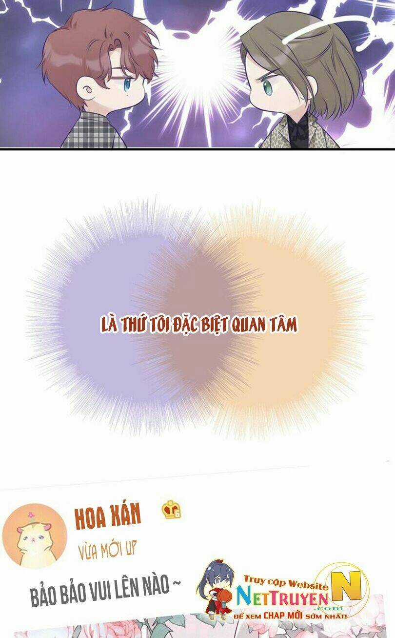 Bảo Vệ Siêu Sao Của Tôi Chapter 12 trang 24