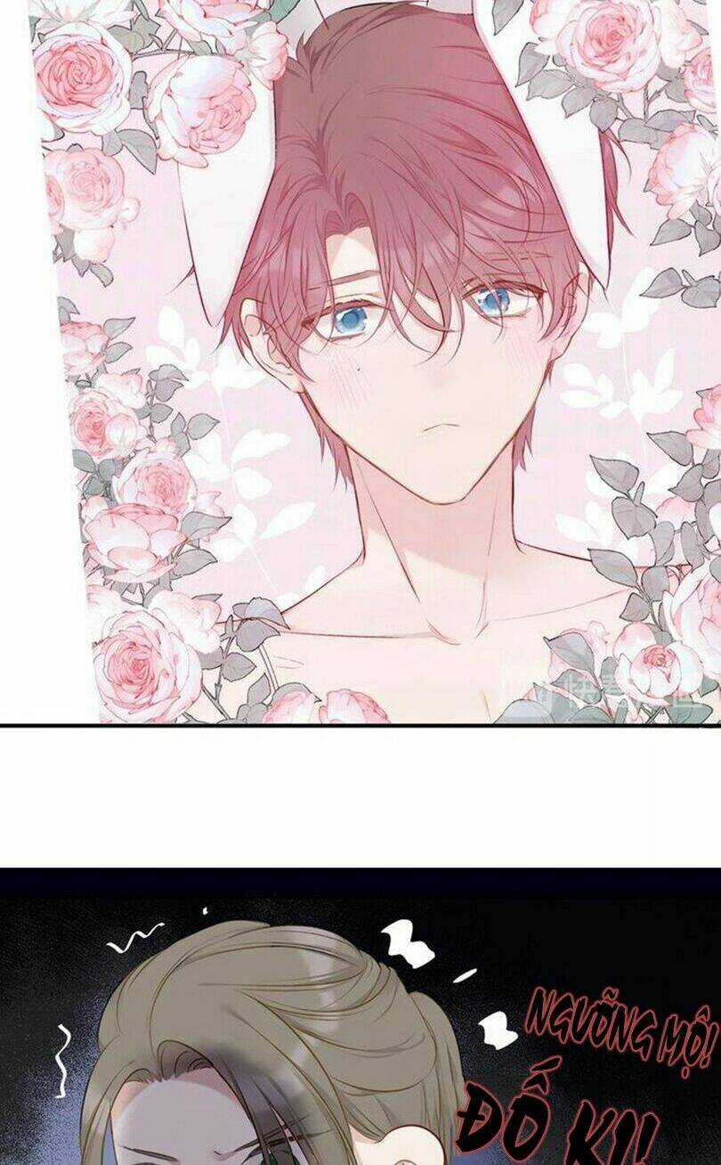 Bảo Vệ Siêu Sao Của Tôi Chapter 12 trang 25