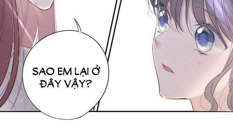 Bảo Vệ Siêu Sao Của Tôi Chapter 13 trang 21