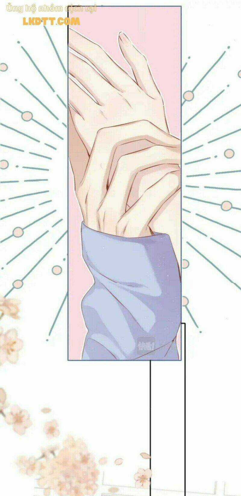 Bảo Vệ Siêu Sao Của Tôi Chapter 132 trang 19