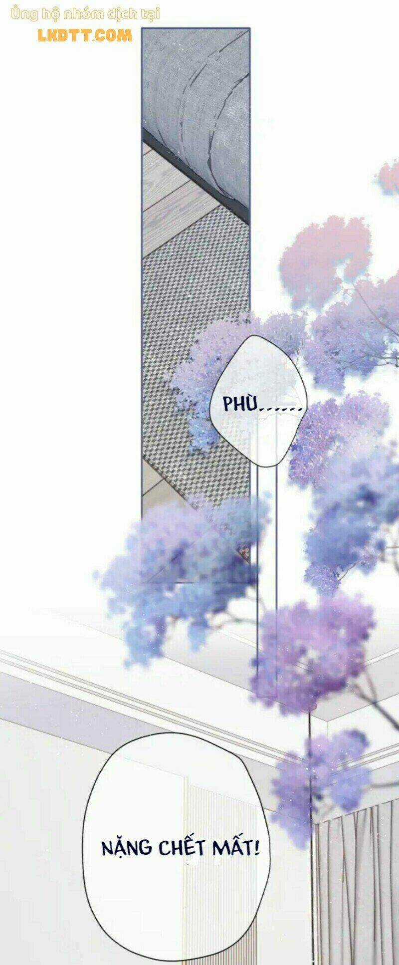 Bảo Vệ Siêu Sao Của Tôi Chapter 132 trang 23