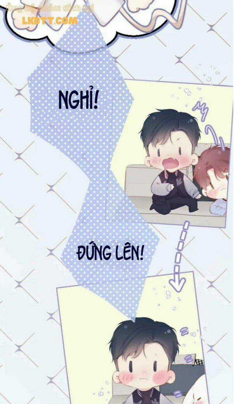 Bảo Vệ Siêu Sao Của Tôi Chapter 132 trang 3