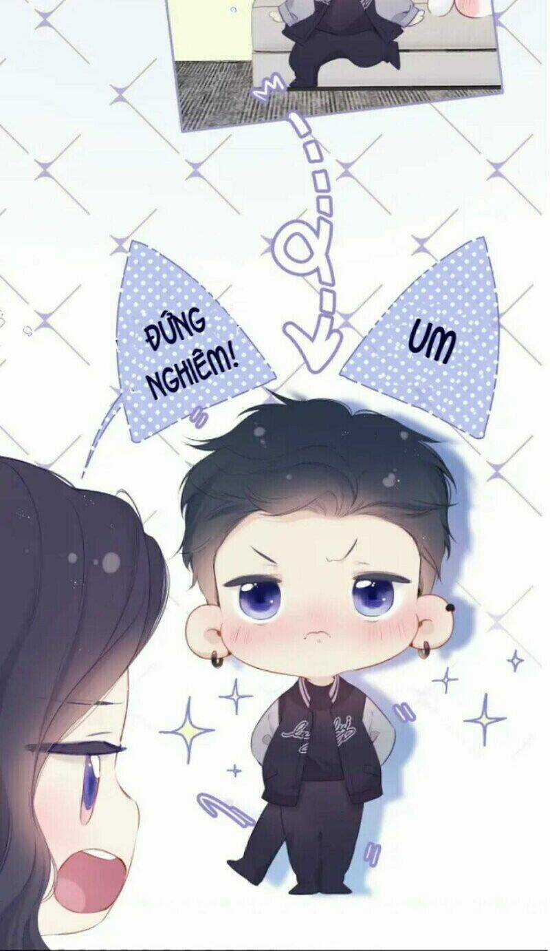 Bảo Vệ Siêu Sao Của Tôi Chapter 132 trang 4