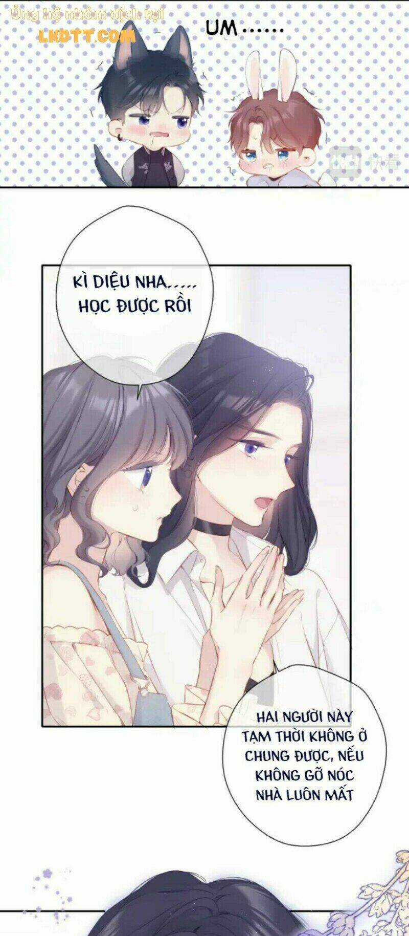 Bảo Vệ Siêu Sao Của Tôi Chapter 132 trang 5