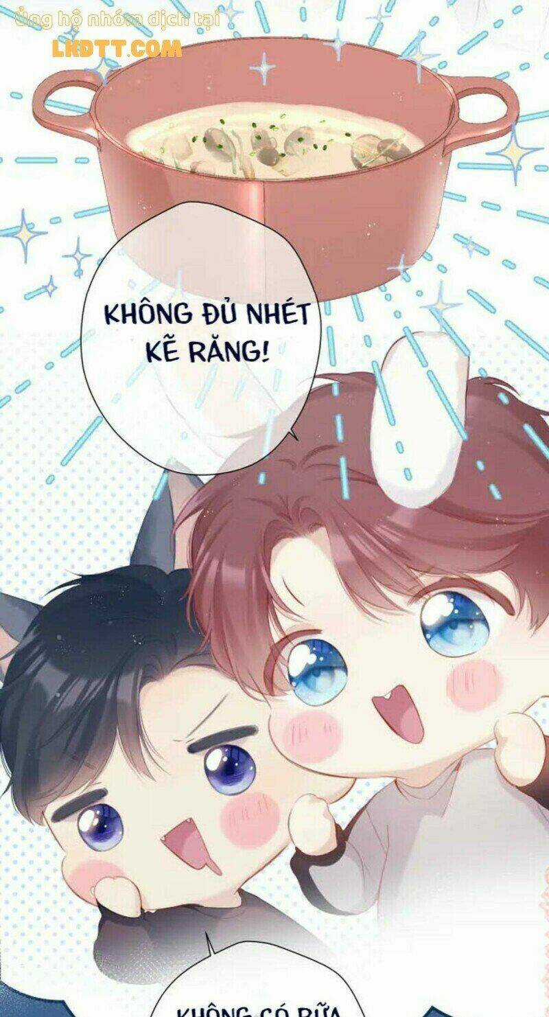 Bảo Vệ Siêu Sao Của Tôi Chapter 133 trang 11