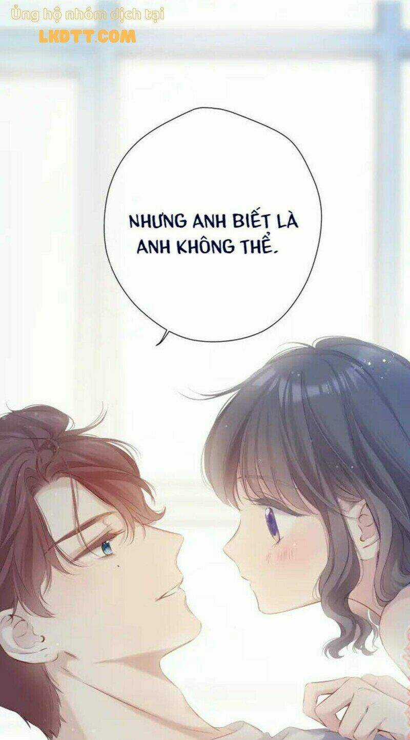 Bảo Vệ Siêu Sao Của Tôi Chapter 133 trang 24