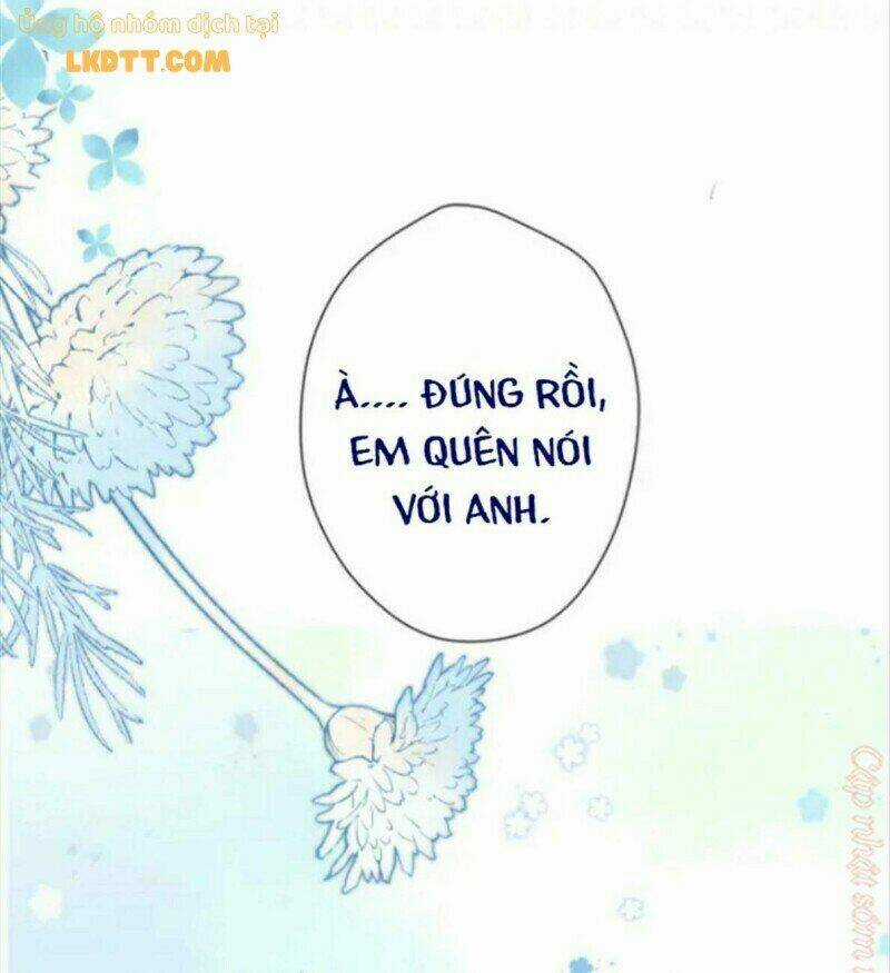 Bảo Vệ Siêu Sao Của Tôi Chapter 134 trang 13