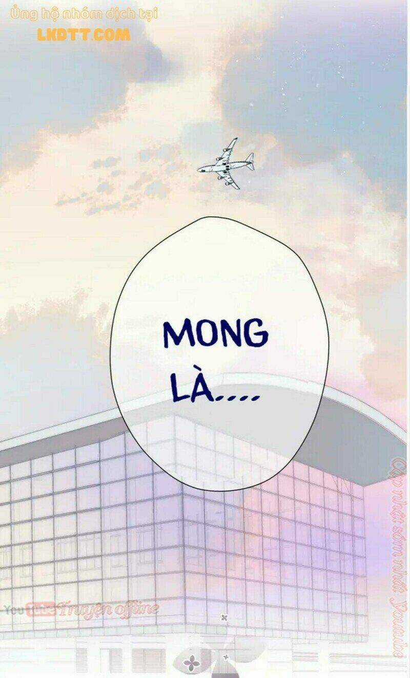 Bảo Vệ Siêu Sao Của Tôi Chapter 134 trang 41