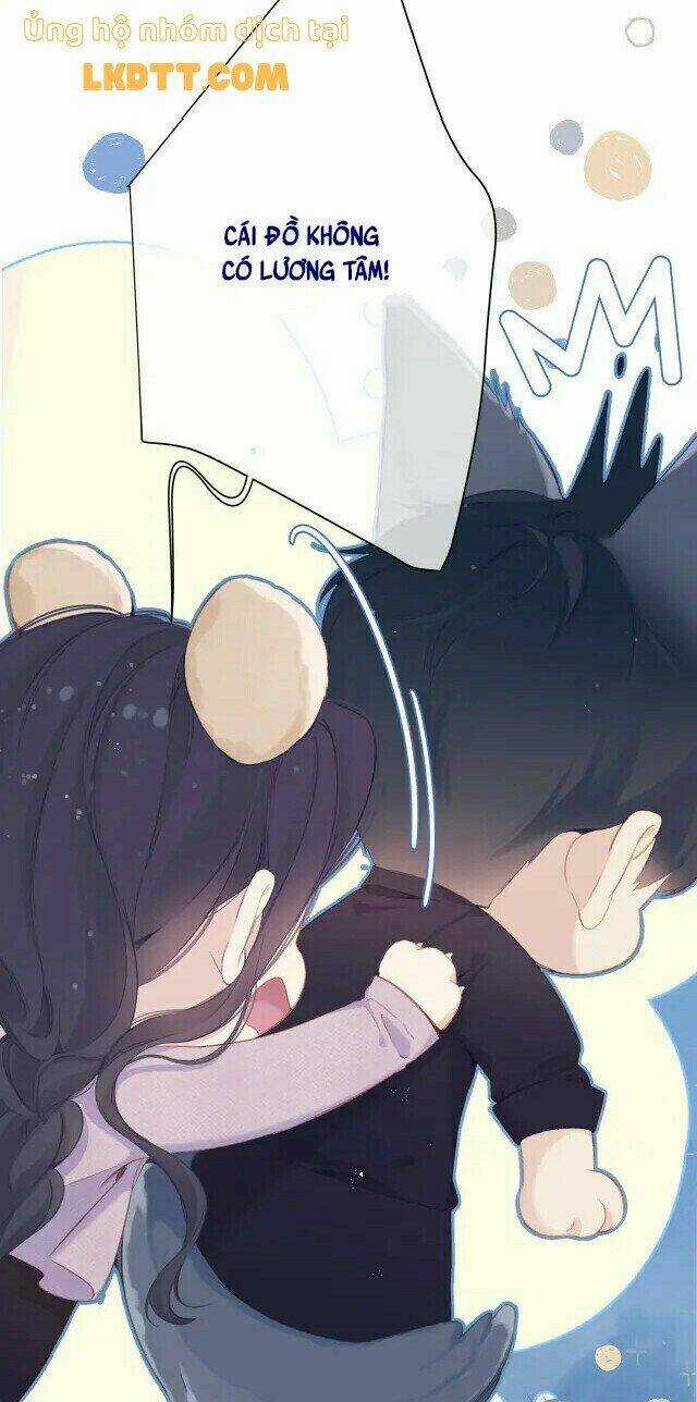 Bảo Vệ Siêu Sao Của Tôi Chapter 135 trang 16