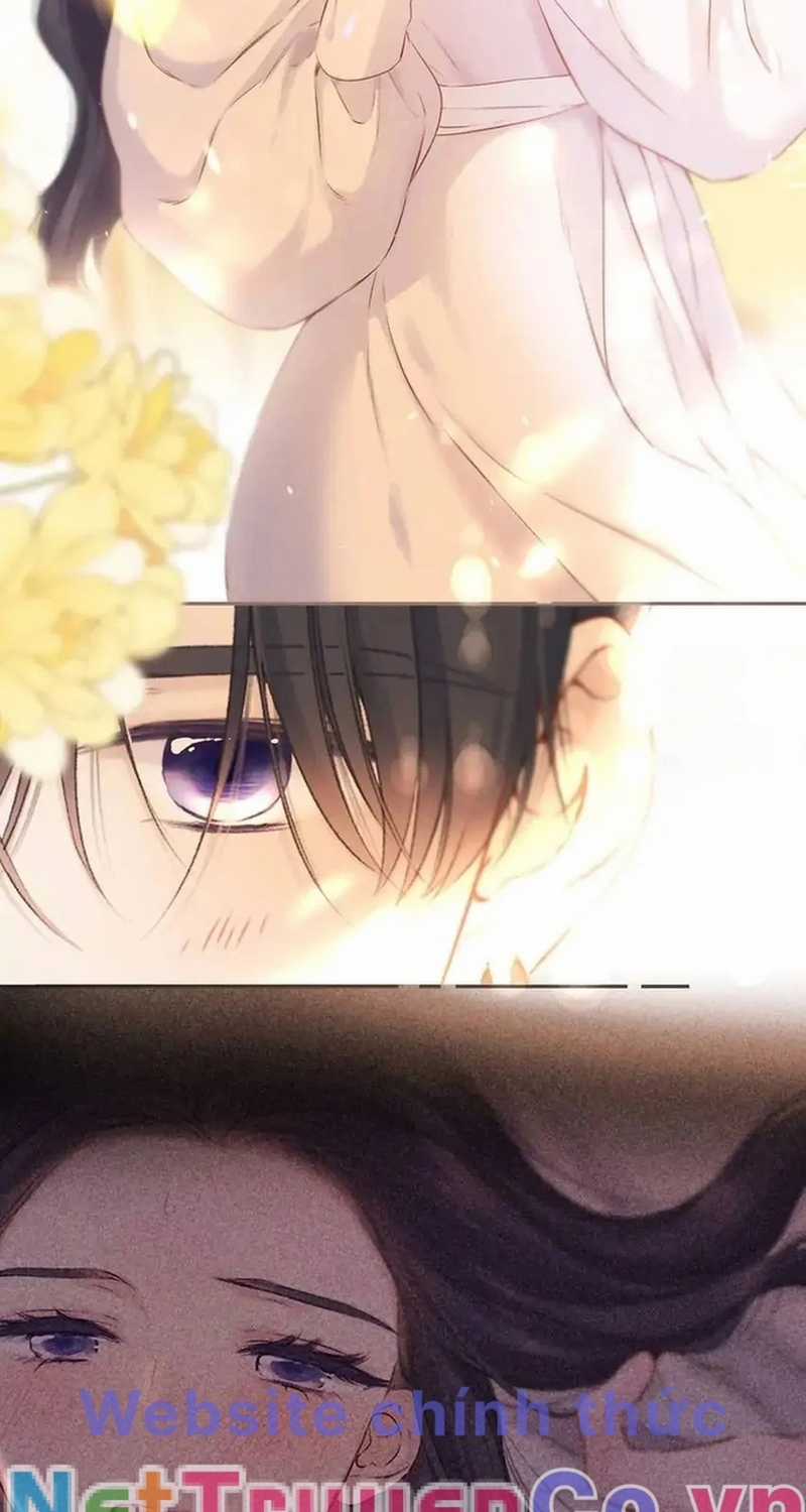 Bảo Vệ Siêu Sao Của Tôi Chapter 136 trang 11