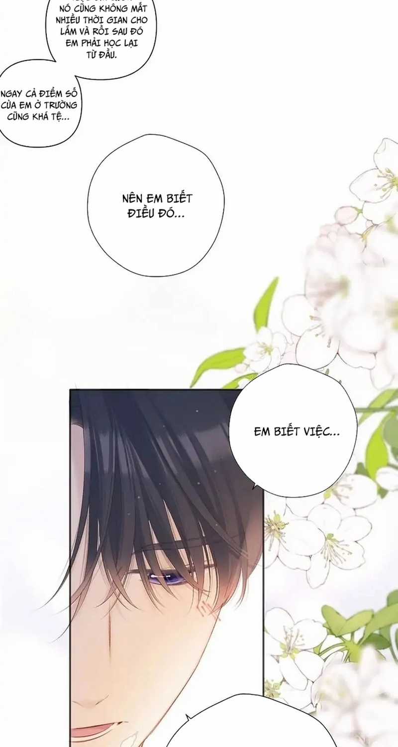 Bảo Vệ Siêu Sao Của Tôi Chapter 136 trang 14