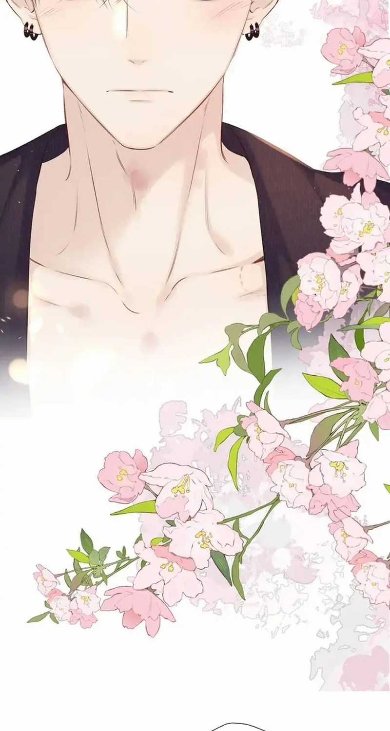 Bảo Vệ Siêu Sao Của Tôi Chapter 136 trang 24