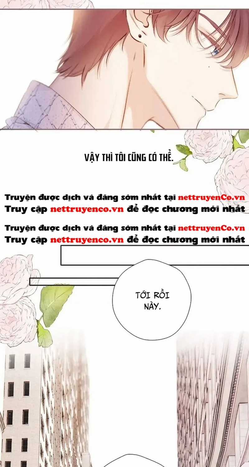 Bảo Vệ Siêu Sao Của Tôi Chapter 136 trang 36