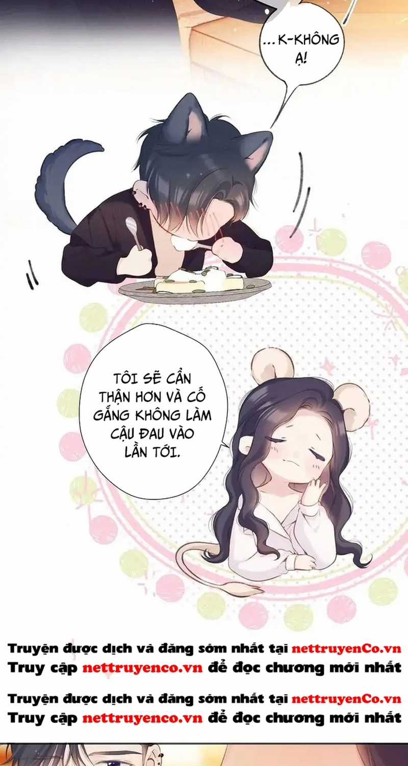 Bảo Vệ Siêu Sao Của Tôi Chapter 136 trang 5