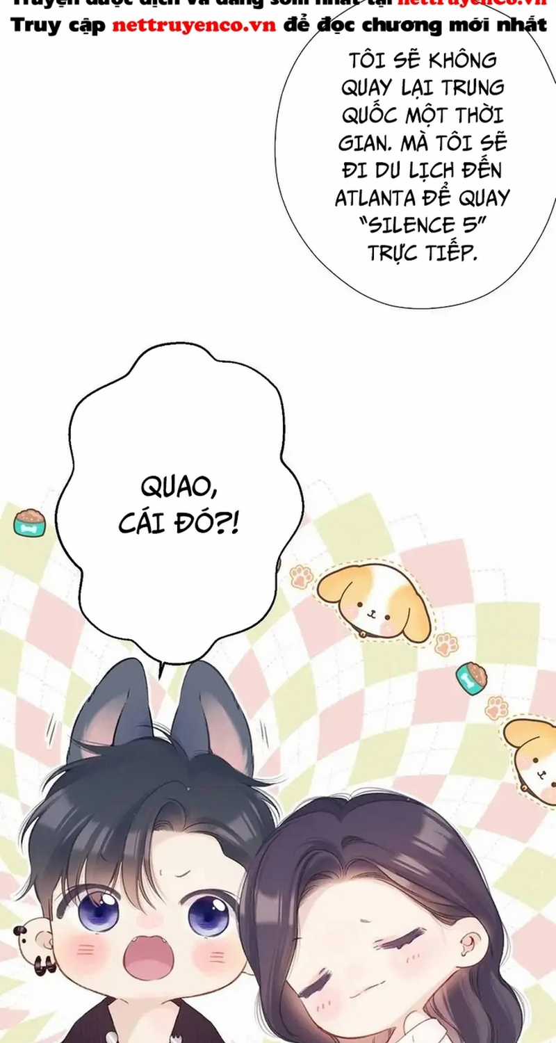 Bảo Vệ Siêu Sao Của Tôi Chapter 136 trang 8