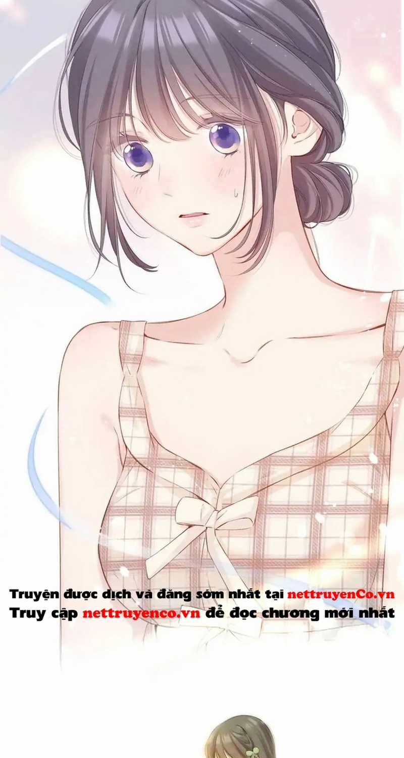 Bảo Vệ Siêu Sao Của Tôi Chapter 137 trang 1