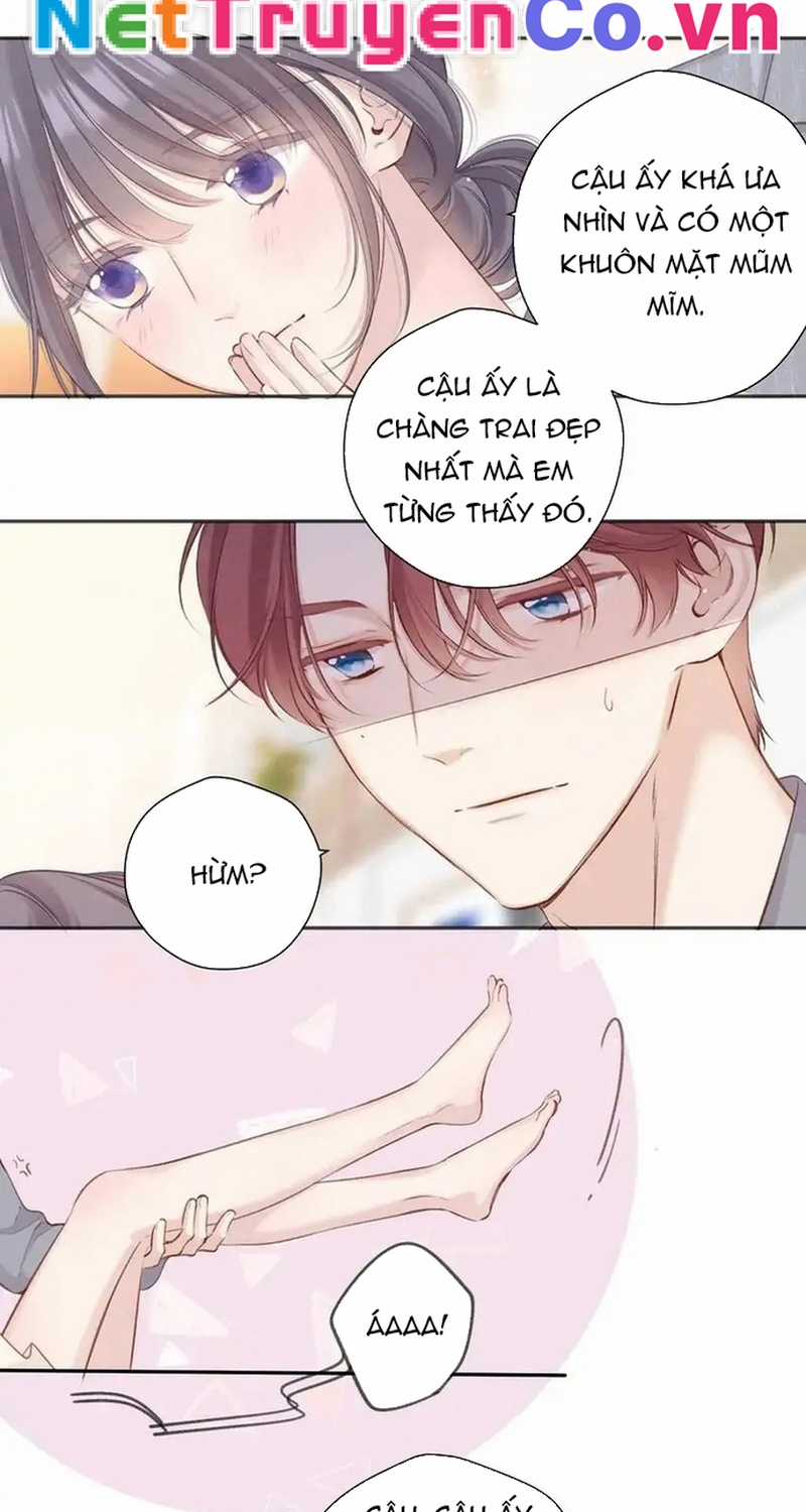 Bảo Vệ Siêu Sao Của Tôi Chapter 137 trang 13