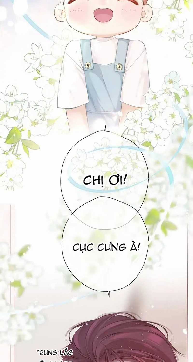 Bảo Vệ Siêu Sao Của Tôi Chapter 137 trang 3
