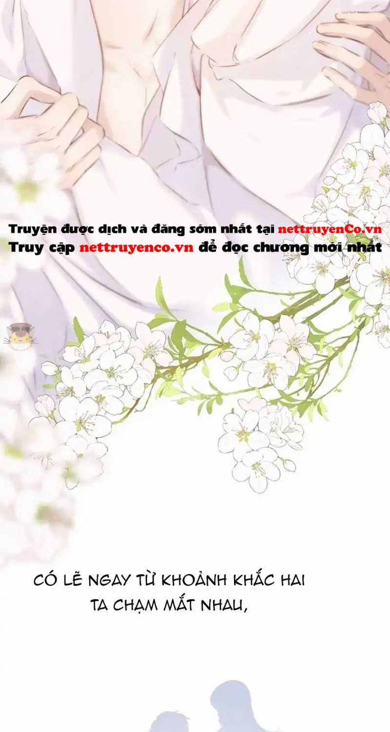 Bảo Vệ Siêu Sao Của Tôi Chapter 137 trang 38