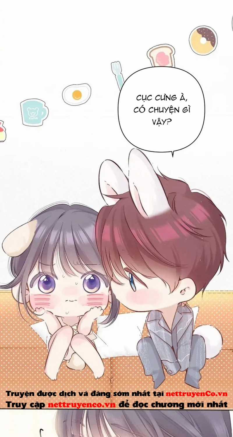 Bảo Vệ Siêu Sao Của Tôi Chapter 137 trang 8