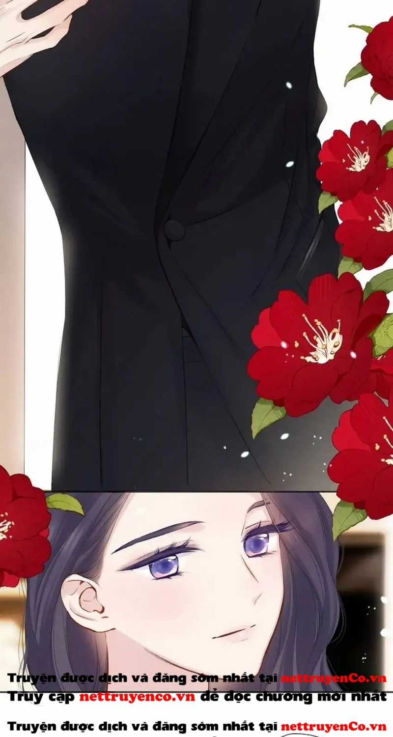 Bảo Vệ Siêu Sao Của Tôi Chapter 138 trang 5