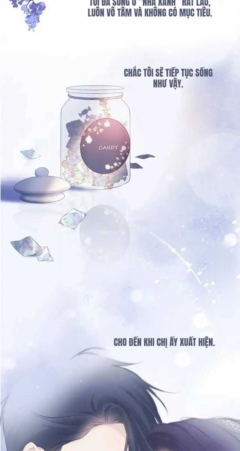 Bảo Vệ Siêu Sao Của Tôi Chapter 138 trang 58