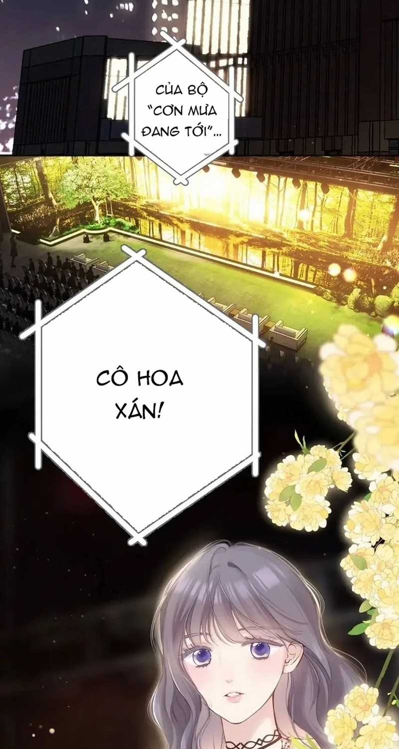 Bảo Vệ Siêu Sao Của Tôi Chapter 139 trang 11