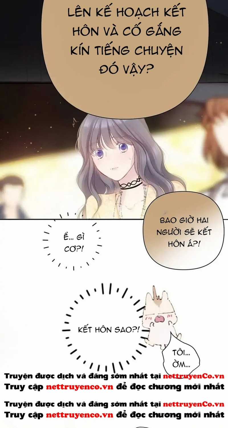 Bảo Vệ Siêu Sao Của Tôi Chapter 139 trang 18